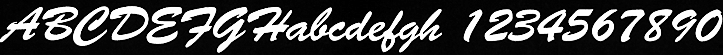 BF12 - Brush Script
